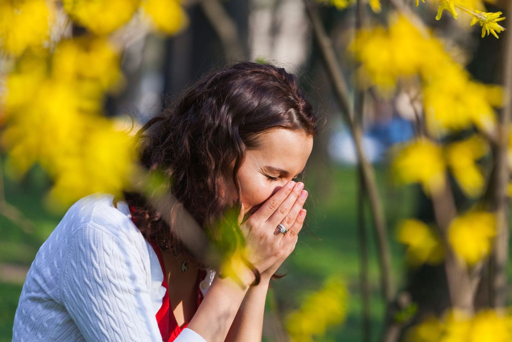 Cover image for Say Goodbye to Sneezing